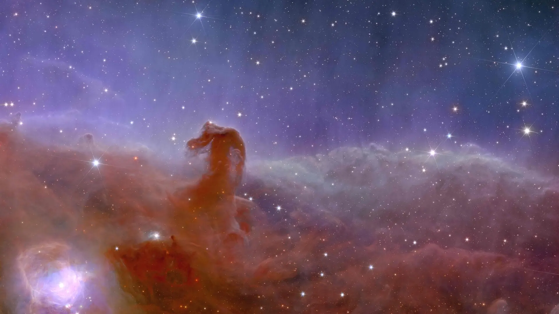 Euclid's Horsehead Nebula